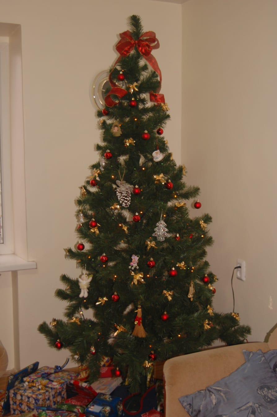 The Christmas tree makes our house so cheery during the dark winter days.