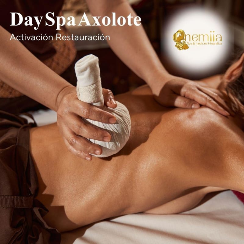 Day Spa Axolote