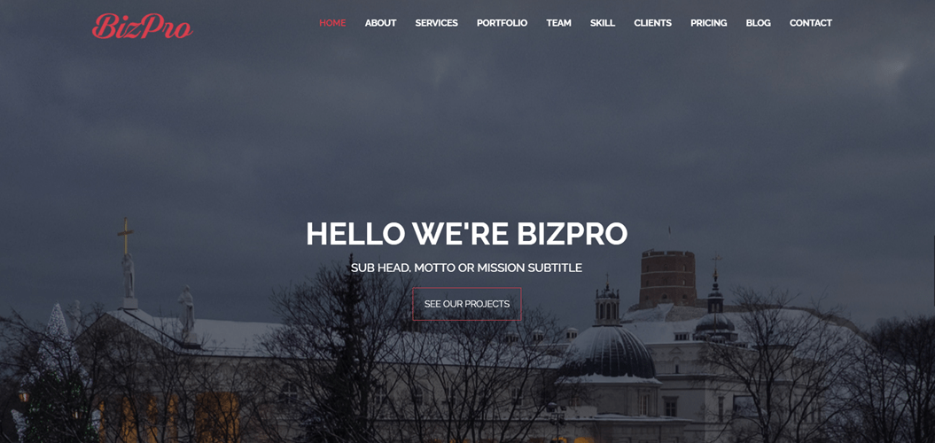 BizPro