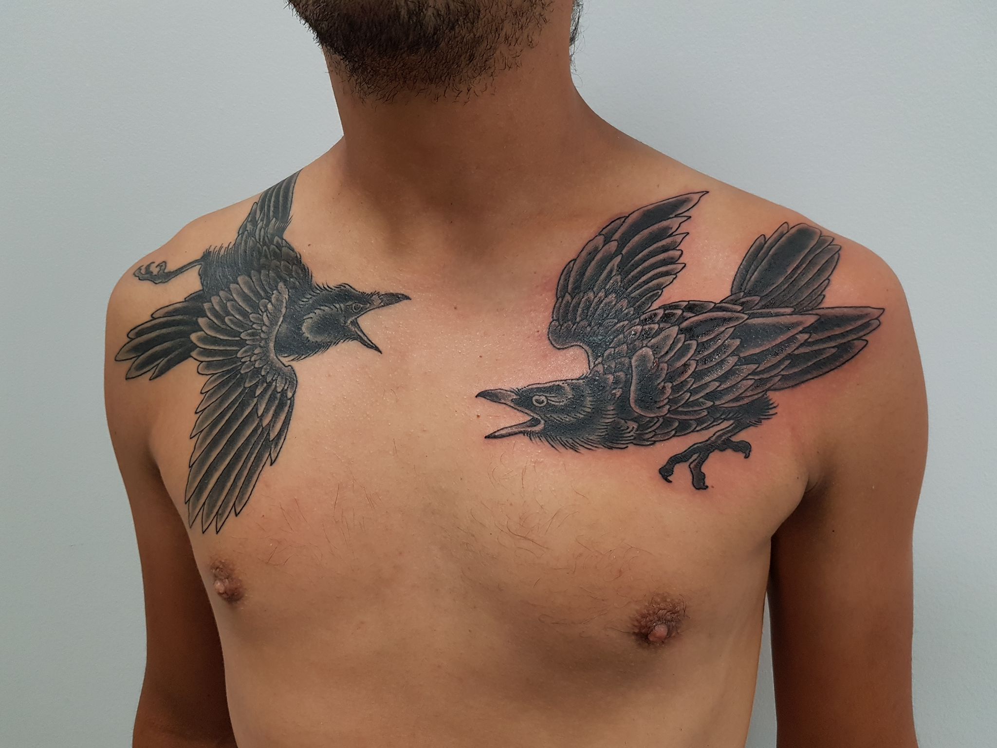 Black crows upper chest tattoo