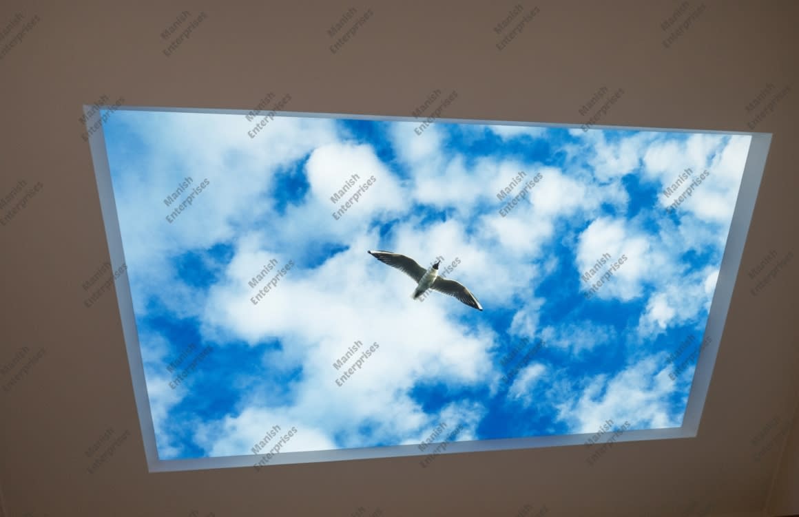 Flying Seagull Sky Backlit Acrylic Ceiling Sheet – Blue Sky Ceiling Panel