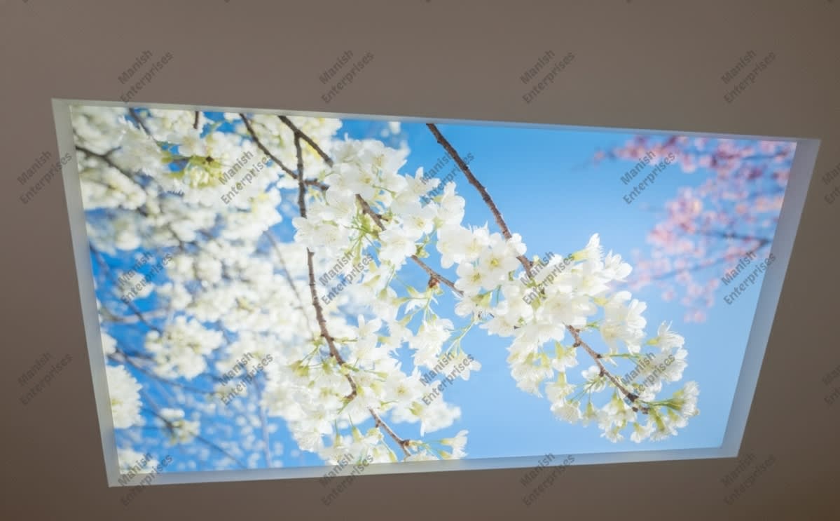 White Blossom Sky Backlit Acrylic Ceiling Sheet – Floral Ceiling Panel