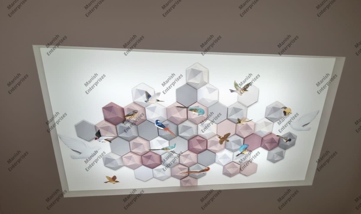 Blush Hexagon Birds Artistic Acrylic Designer Sheet