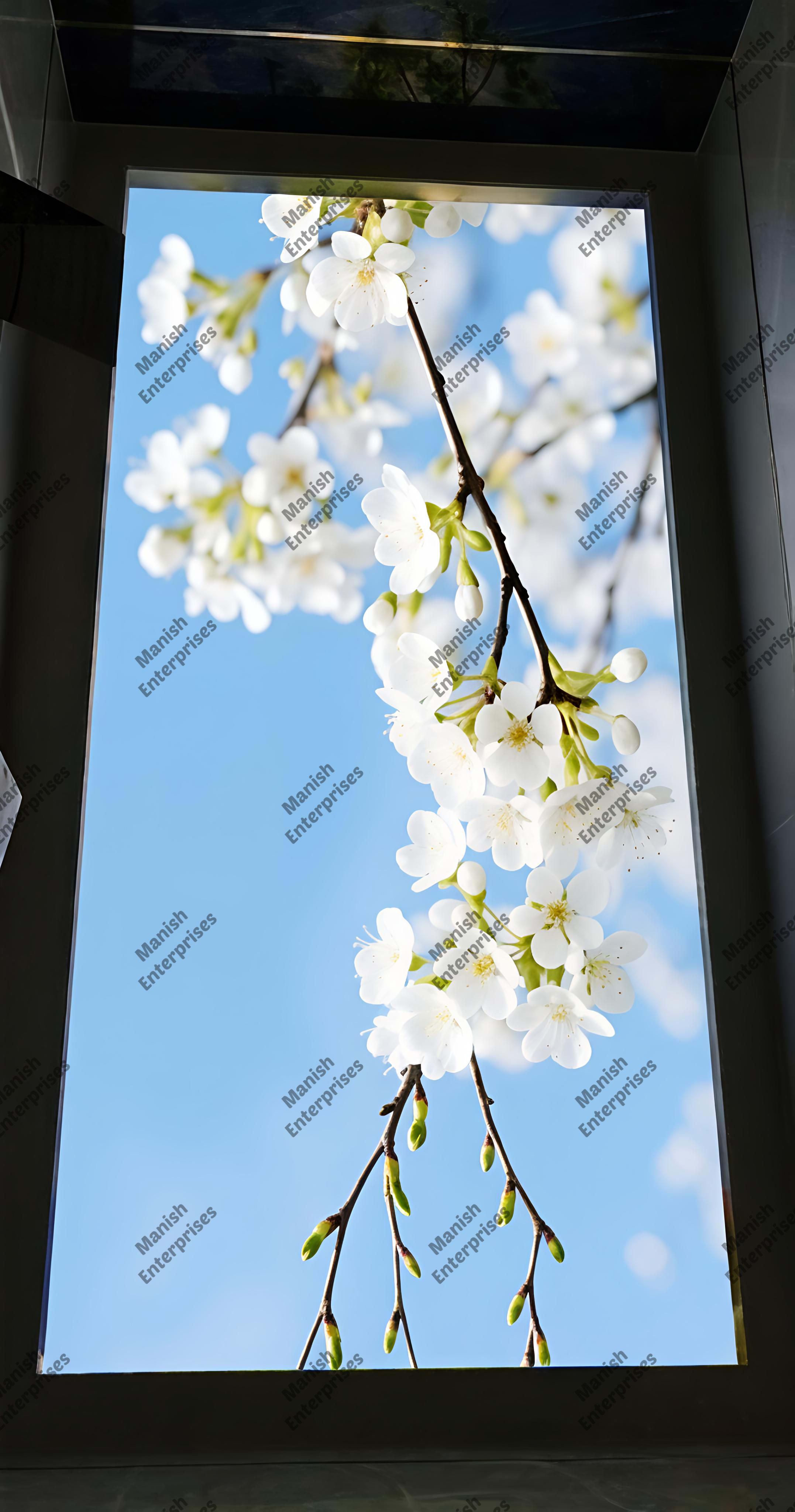 White Cherry Blossom Acrylic Ceiling Sheet for Bathroom & Washroom Ceiling Design