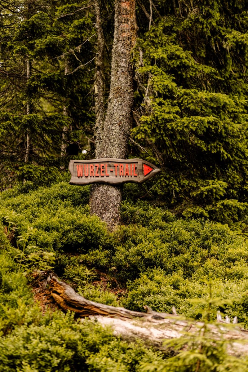 Signpost to Wurzel Trail in Glemmtal, surrounded by dense trees