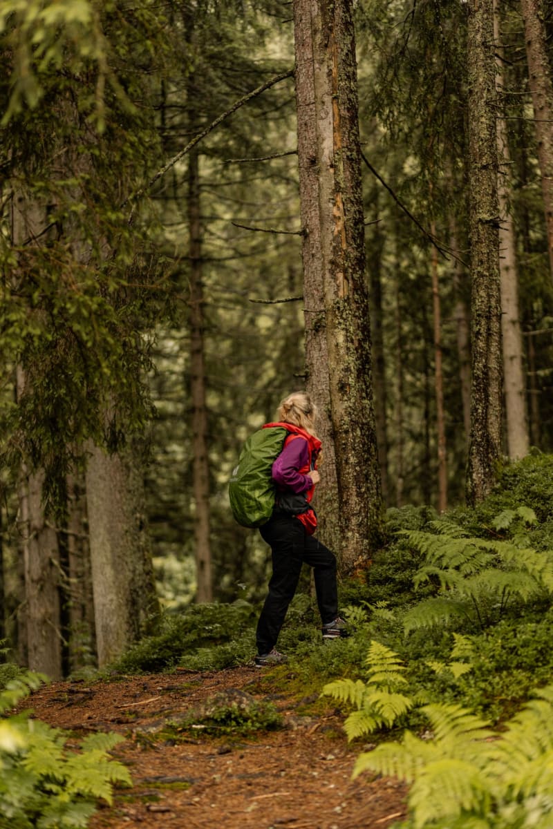 Eine Wanderin erkundet den Wald im Glemmtal und genießt die Natur.