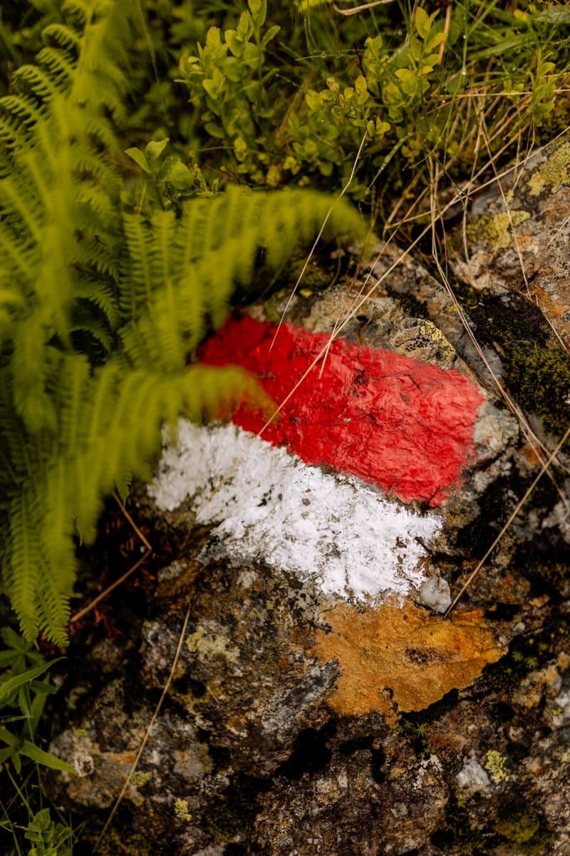 Rote und weiße Markierung auf Stein im Glemmtal, umgeben von Pflanzen.