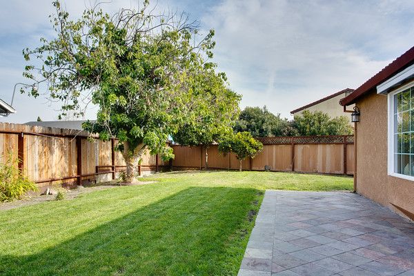 1175 Lovelock Way