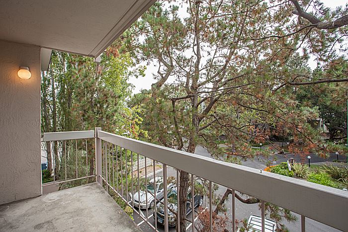 960 Shorepoint Court #204