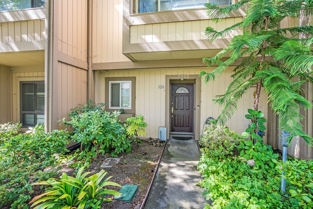 3213 Phoenix Lane 