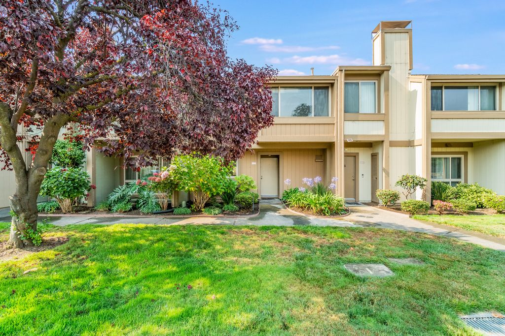 3145 Bali Lane 