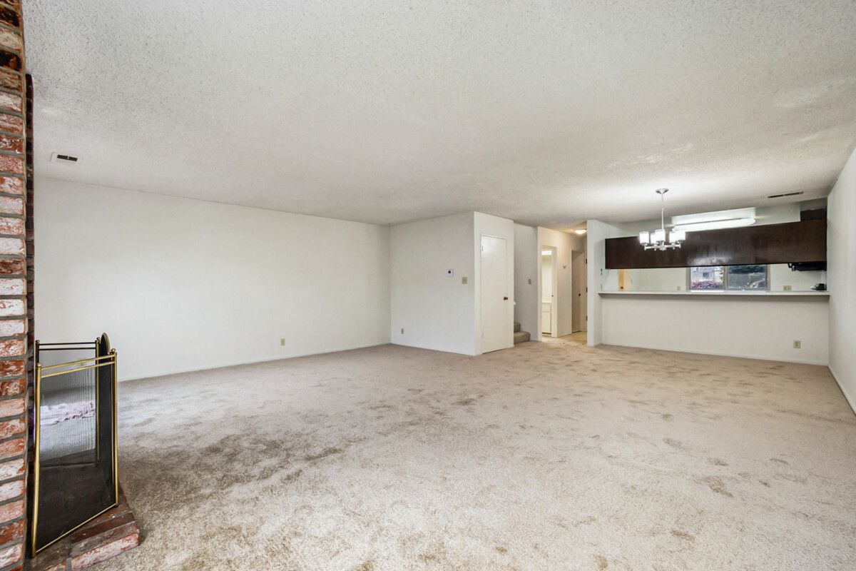 3309 Willis Lane 