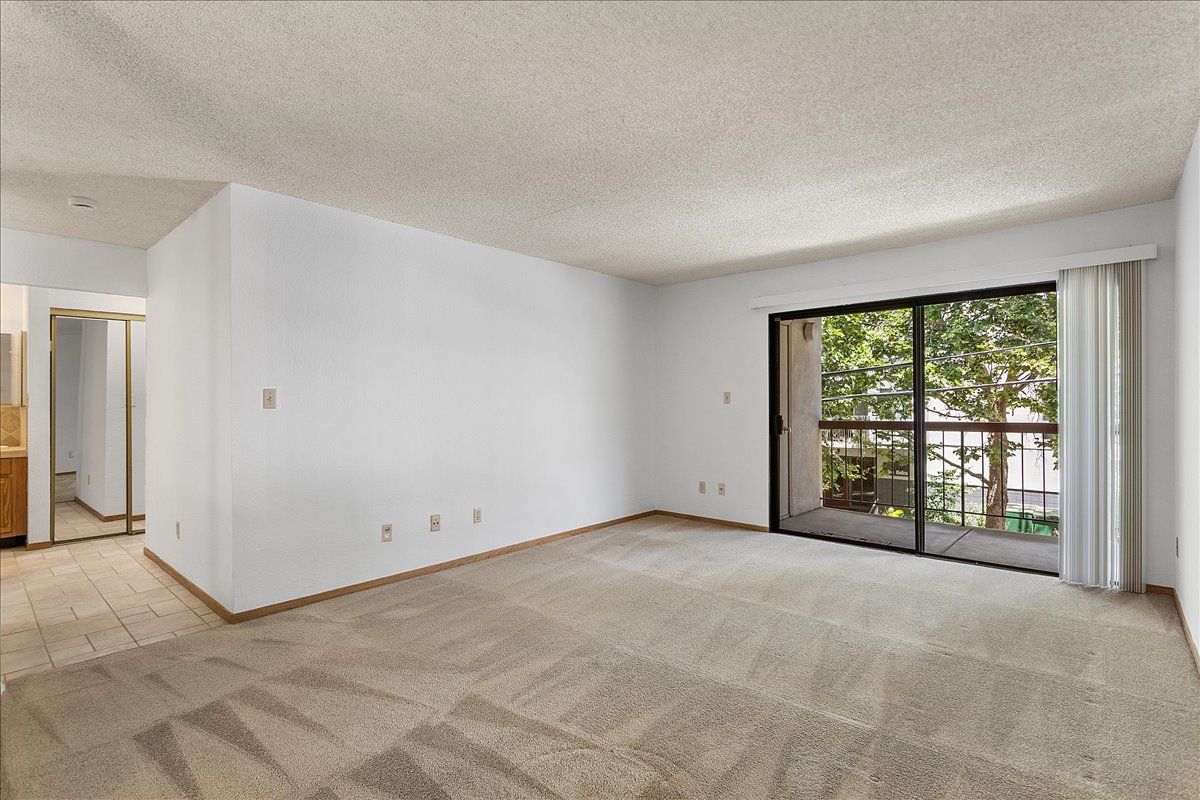 155 Pearl St. #205
