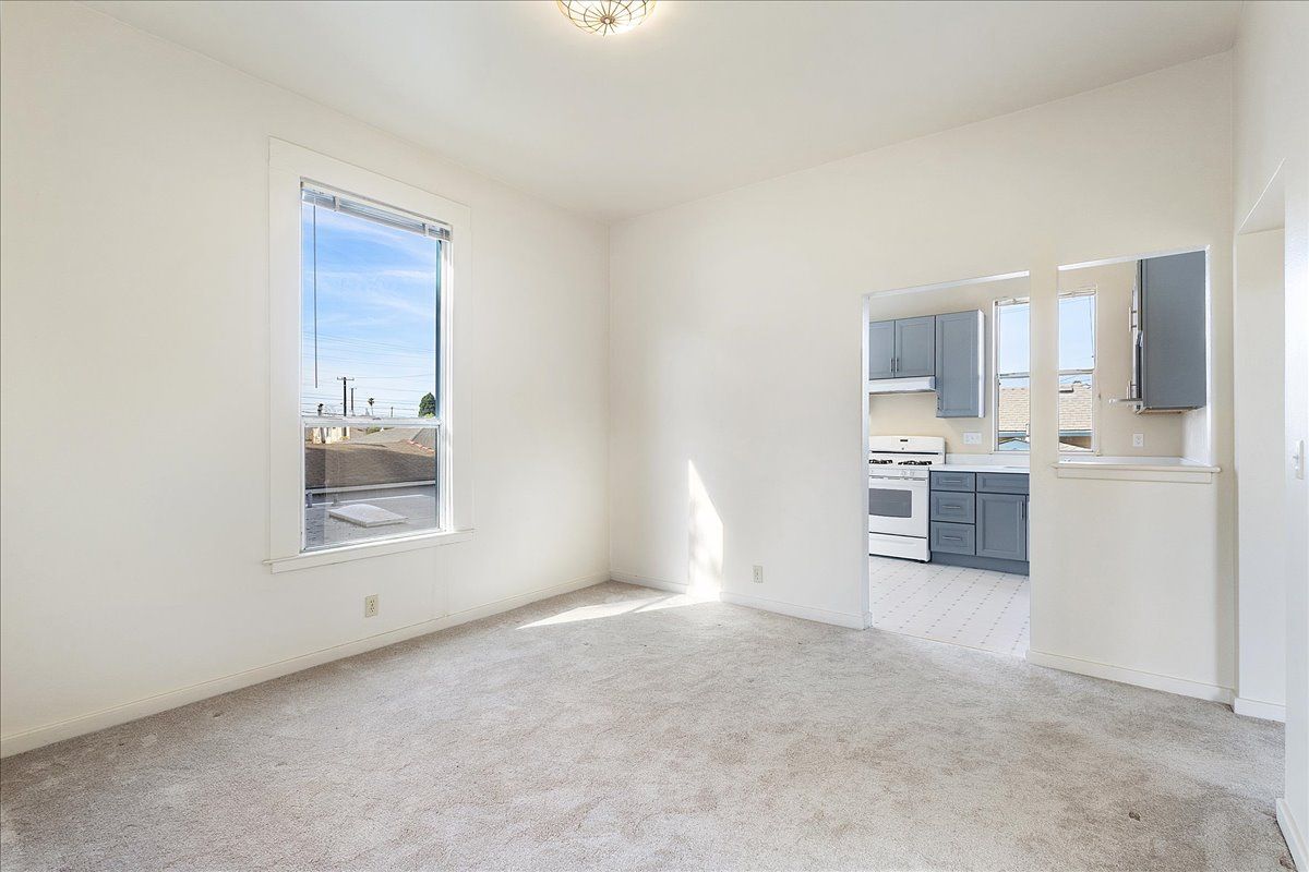 308 Spruce 