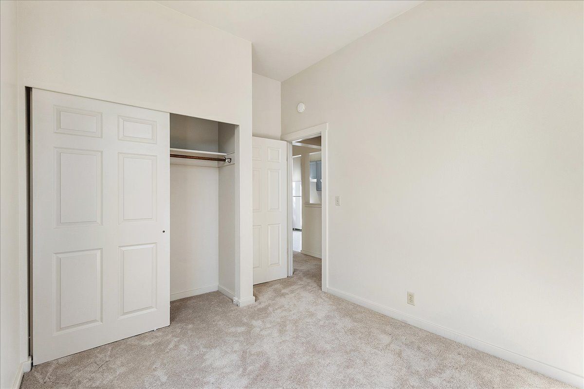 308 Spruce 