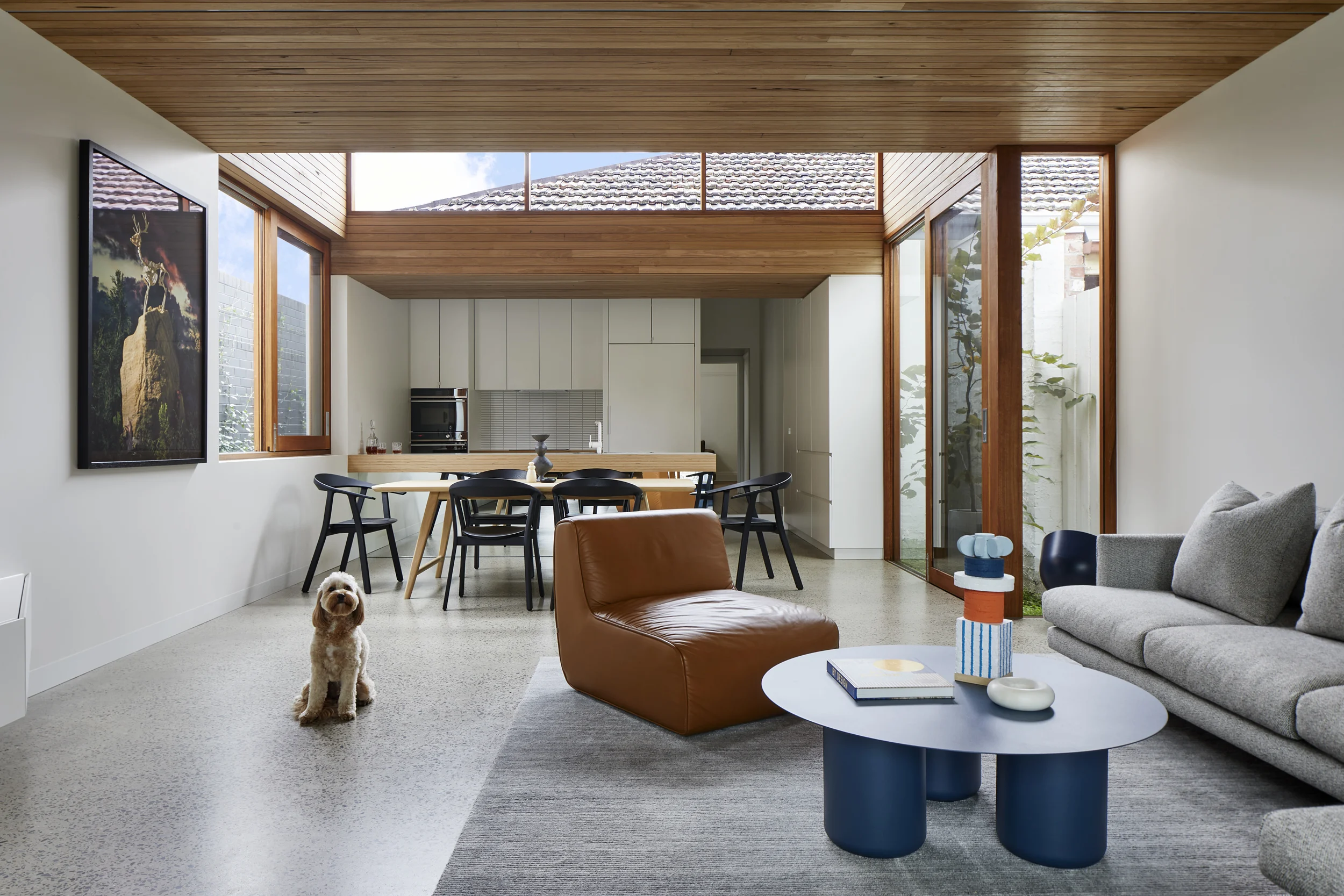 pitch_house_000_xwdztgvcyh2cb3qj5tqa_jpg