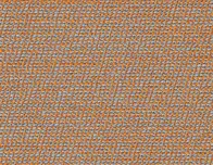 244