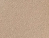 569