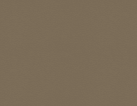 569