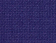 81