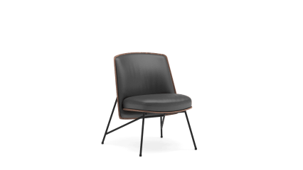 Easy chair leather