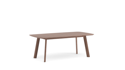 Table 250x105 wood