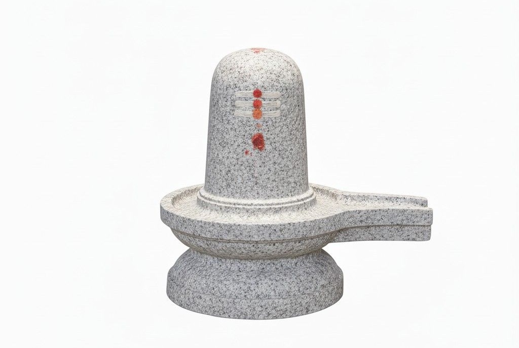 పక్షుల ఆశ్చర్యకరమైన లక్షణాలు