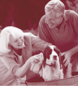 Alzheimers Activities at Home