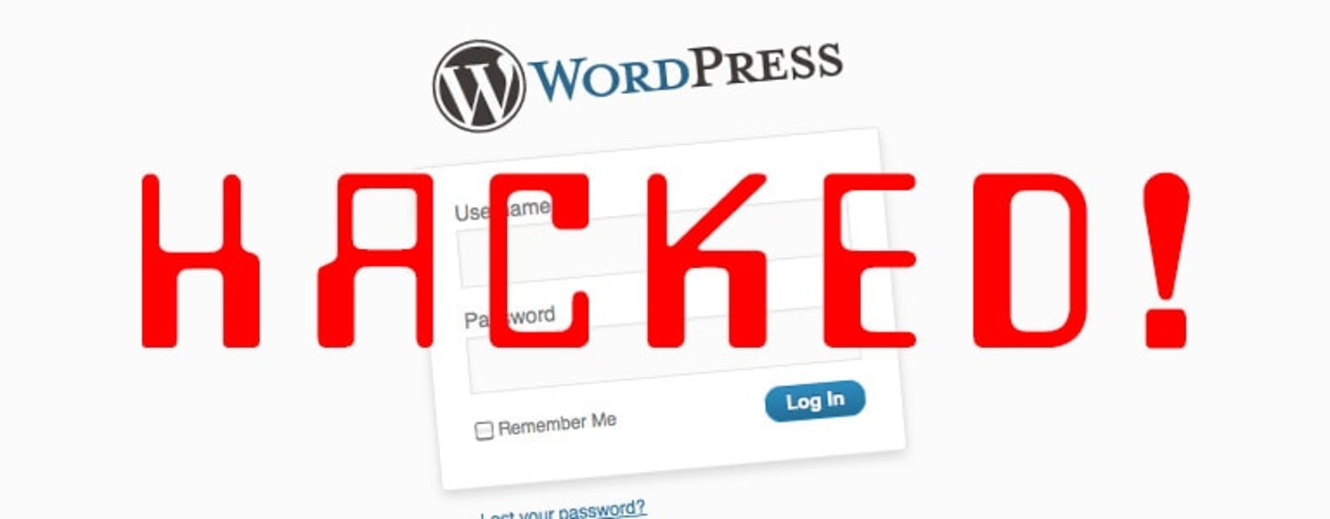 Wordpress napadený hackery - co dělat?