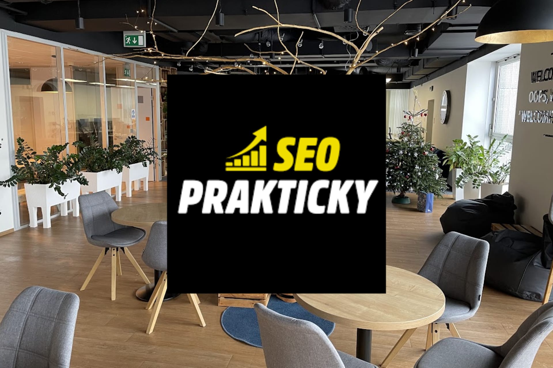 Školil jsem tým, který patří ke špičce v SEO