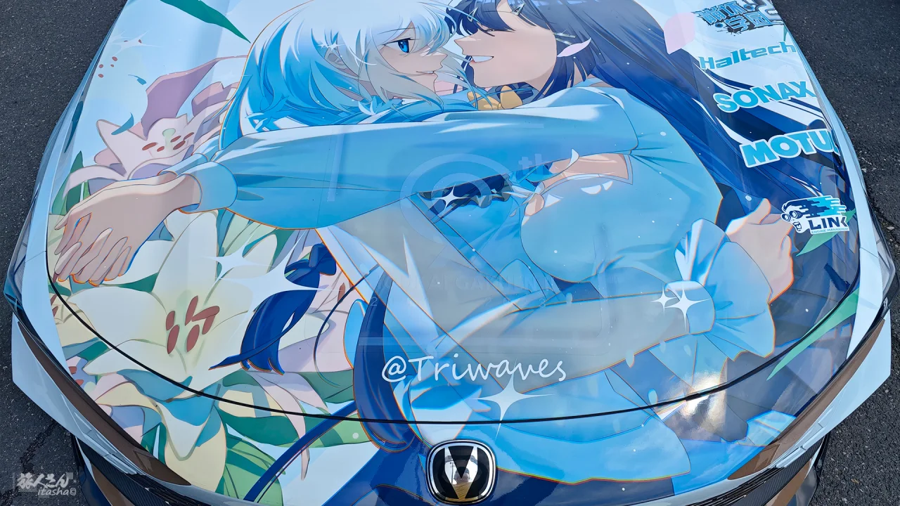 崩坏学园2雷电芽×衣琪亚娜痛车