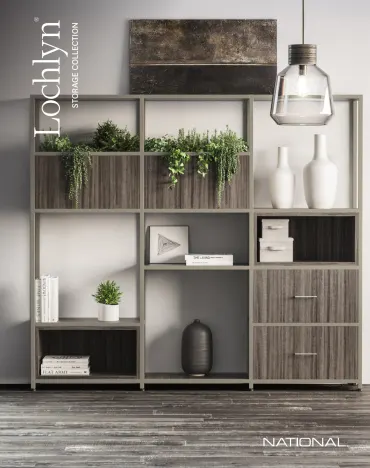 lochlyn-brochure
