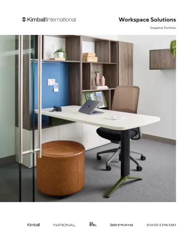 workspace-solutions-snapshot-portfolio