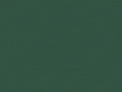 Spinach (71321)