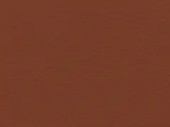 Turmeric (71304)