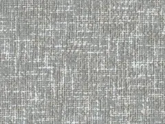 Birch (22646)