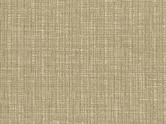 Brandy (22704)