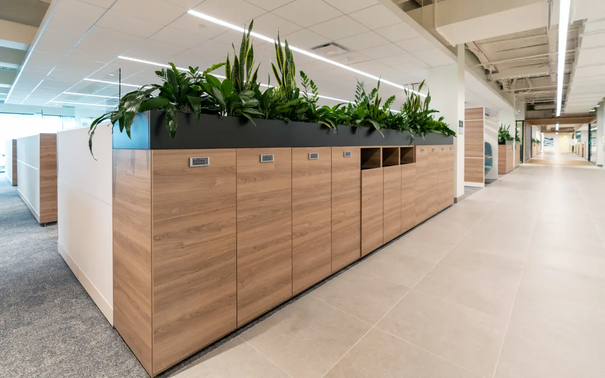 success-story-cze-By-Design-Planters-Lockers
