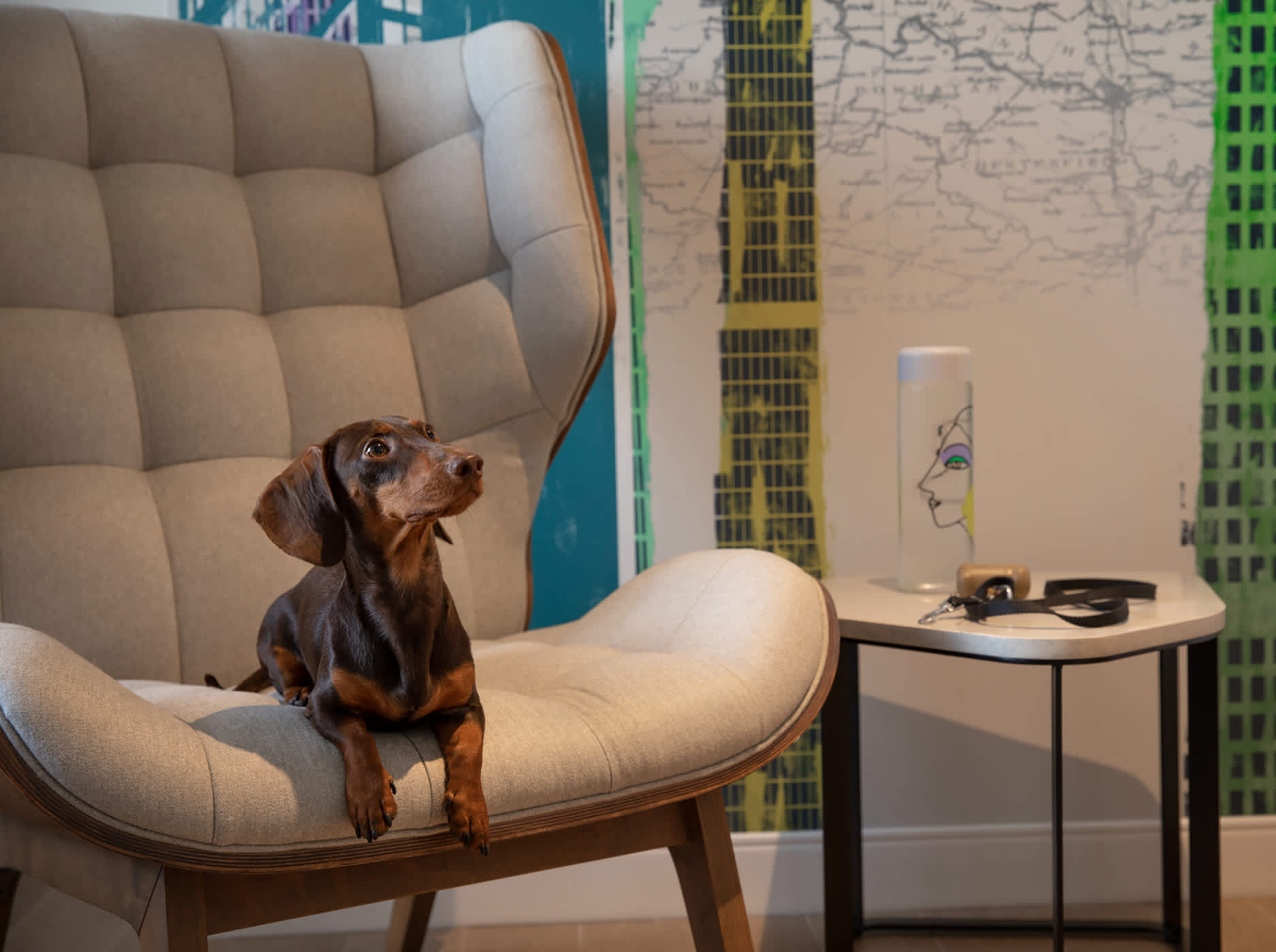 KH-TWH-Lounge-Pet-Friendly