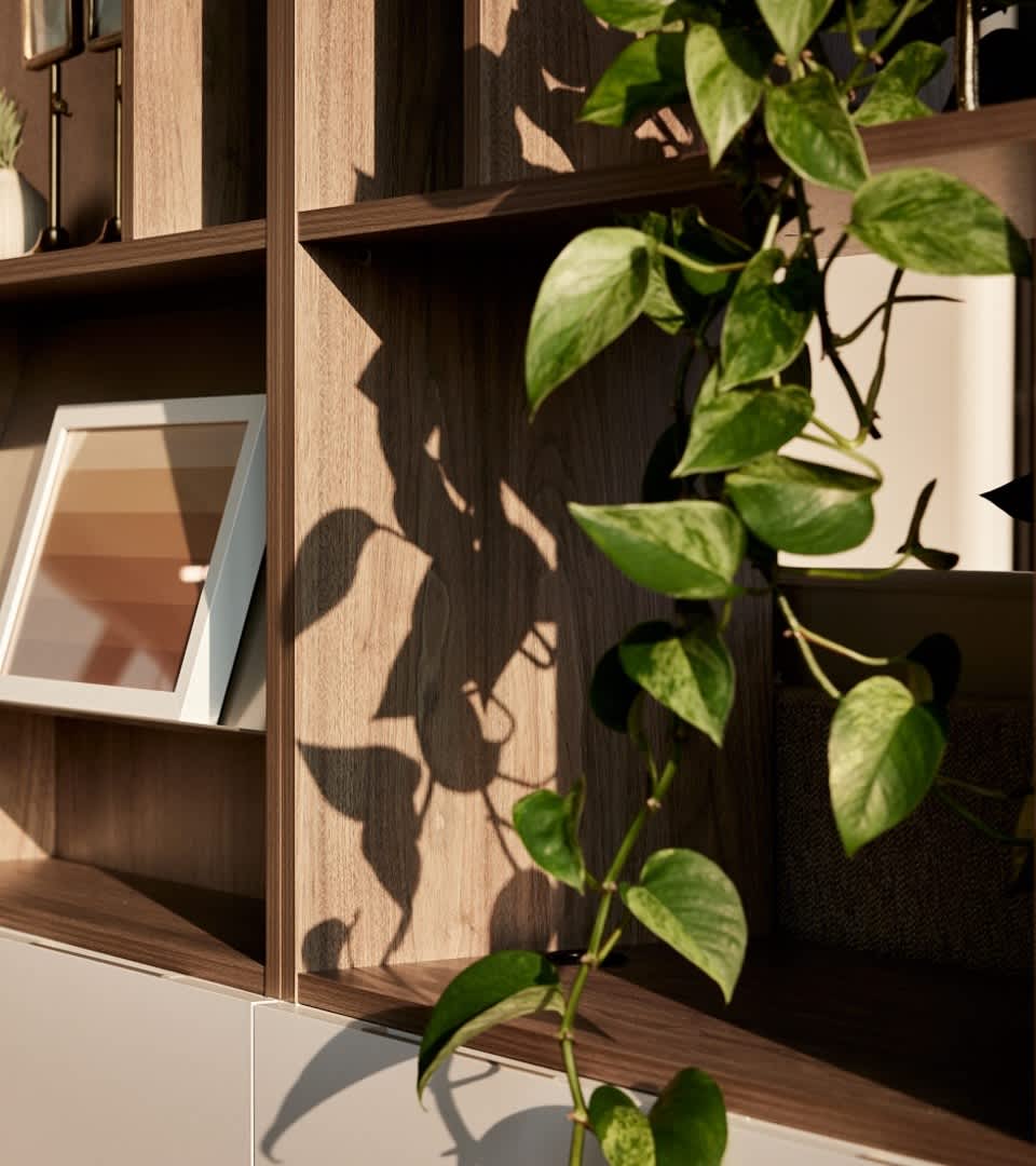 Plant-Learn More About Sensory Design