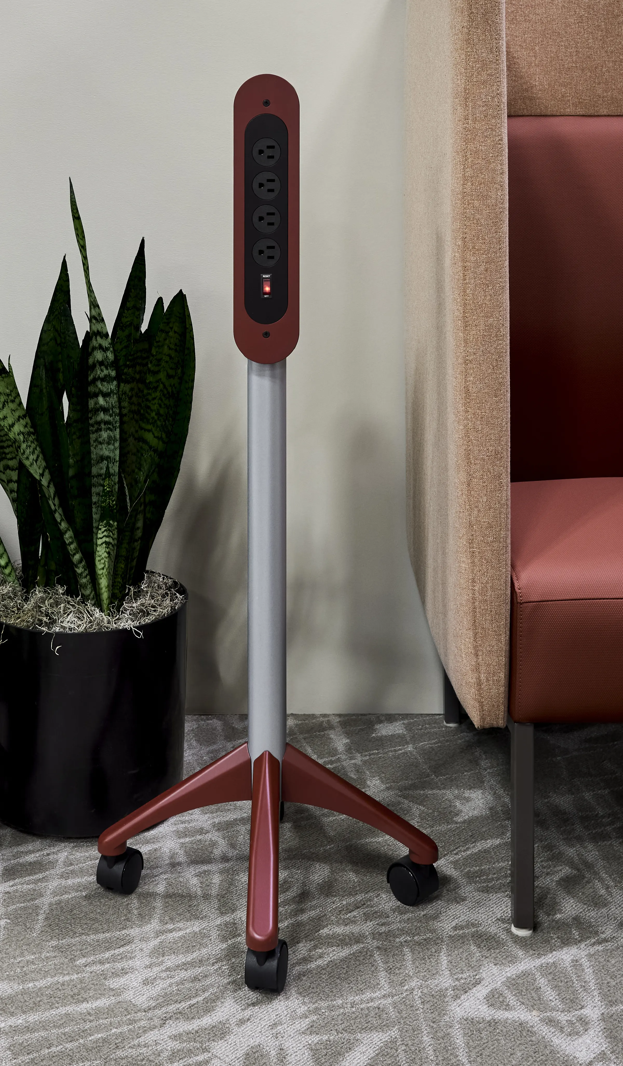 zing-pedspaces25-1241