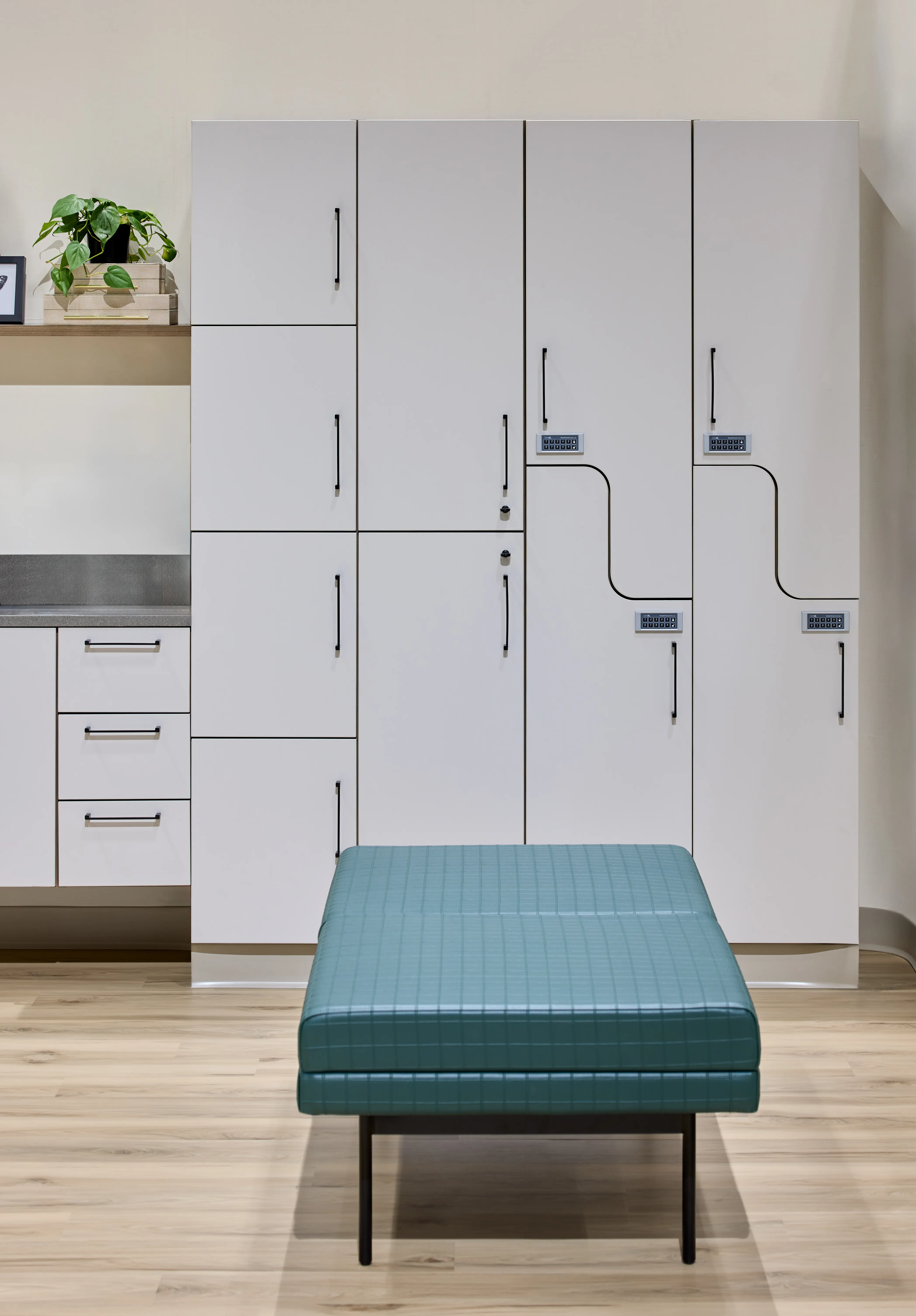 alterna-whittaker-phcd25-1029