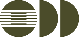 design-strategist