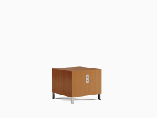 Myriad-End-Table-91NB2424ENW-2118759