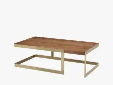 23101-01_Caroline-Rectangular-Cocktail-Table_Gold_Angle_SOL