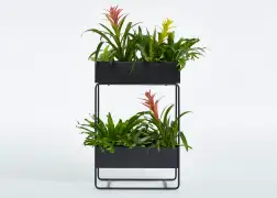 Vernita_Lg_Plants_HR