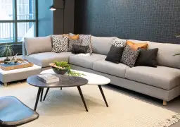 Toss-Collette-Wixler-Lounge-Pillows