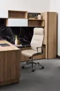 tessera-karid-private-office-height-adjust-storage