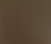 Custom_Bronze