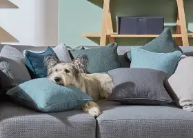 Bernadette_Pillows_Clarette_Jack_HR